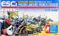Preview: Polish Lancers, napoleonic
