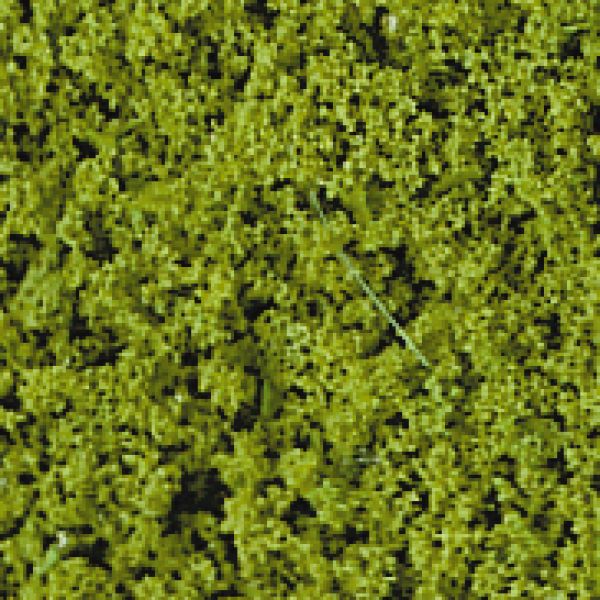 HEKI flor Belaubungsvlies hellgrün, 28 x 14cm