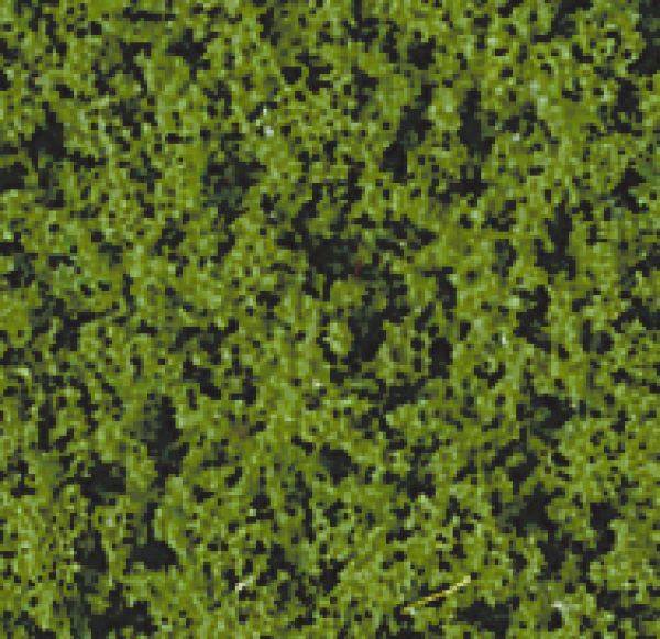 HEKI flor Belaubungsvlies mittelgrün, 28 x 14cm