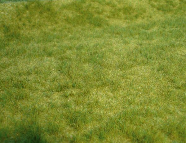 realistic Wildgras, Frühlingsgras, 45 x 17cm