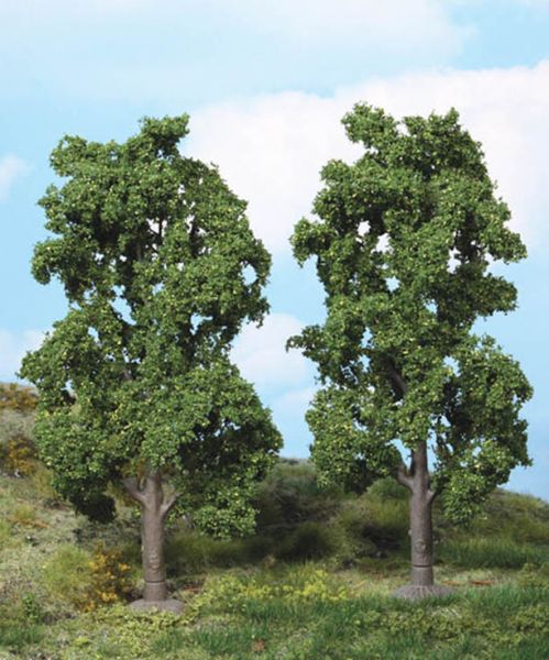 Chestnut trees, 20cm