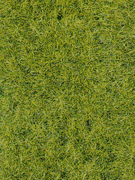 Gras fibre, Wild gras, dark green, 5-6mm, 75g