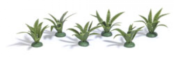 Fern Bushes