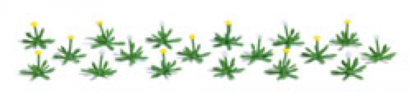 Dandelions