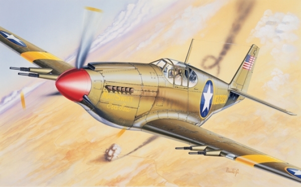 P-51 Mustang, 1:72