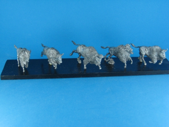 Büffel (Bisons)