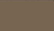 US tank earth brown
