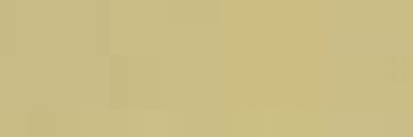 Beige (917)