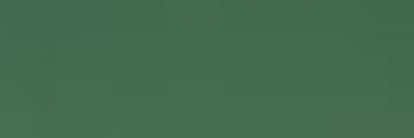 Lichtgrün (Intermediate Green) (891)