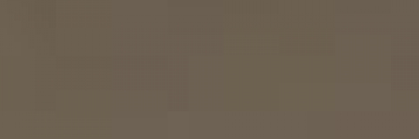 Grünbraun (Green Brown) (879)
