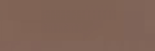 Cork Brown (843)