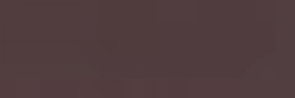 Erdbraun Dunkel (Flat Brown) (984)
