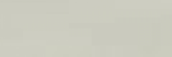 Silvergrey (883)