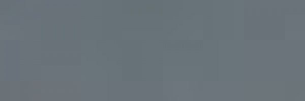 Mittelgrau (Medium Sea Grey) (870)