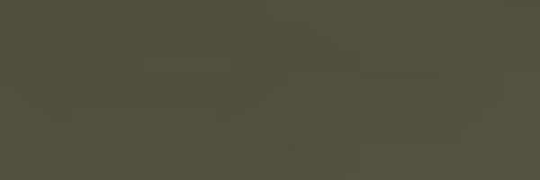 Bronze (998)