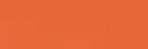 Orange Fluo (733)