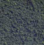 Bewuchsmatte, dunkelgrün