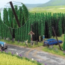 Hopfen