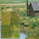 »Groundcover« - Bodendecker 4er Set