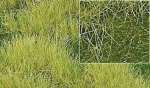 »Groundcover« - Bodendecker: Sommeraue