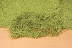 Blätterflor, Foliation mat, light green, 28 x 14cm