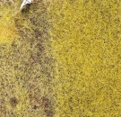 PREMIUM Ground cover fibres, Straw, 30 g