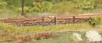 Gras stripes, Autumn, 6mm