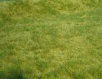 realistic Wildgras, Frühlingsgras, 45 x 17cm