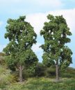 Chestnut trees, 20cm