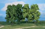 Broadleaf Trees, 18cm