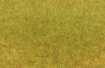 Gras fibre, Wild gras, Autumn, 5-6mm, 75g