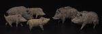 Wildschweine, 1:72