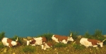 Longhorns, lying, 1:72