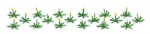 Dandelions
