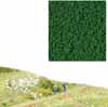 Foliage dark green