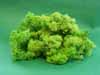 Iceland moos "green"