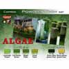 COMBO SET "Algae"